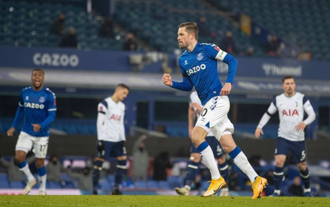 们提供了一 们提供了一